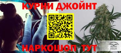 индика Будённовск