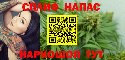 индика Будённовск